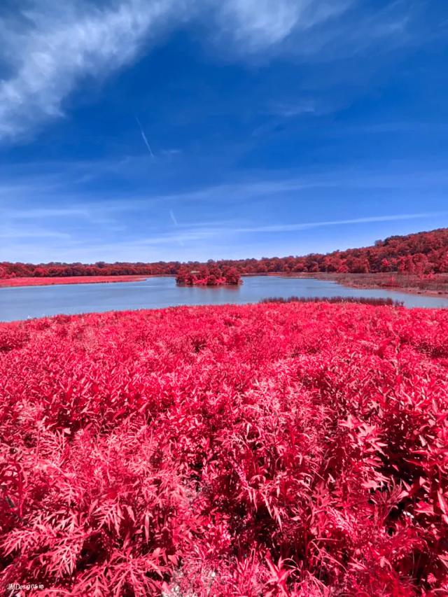 Nature lake red
