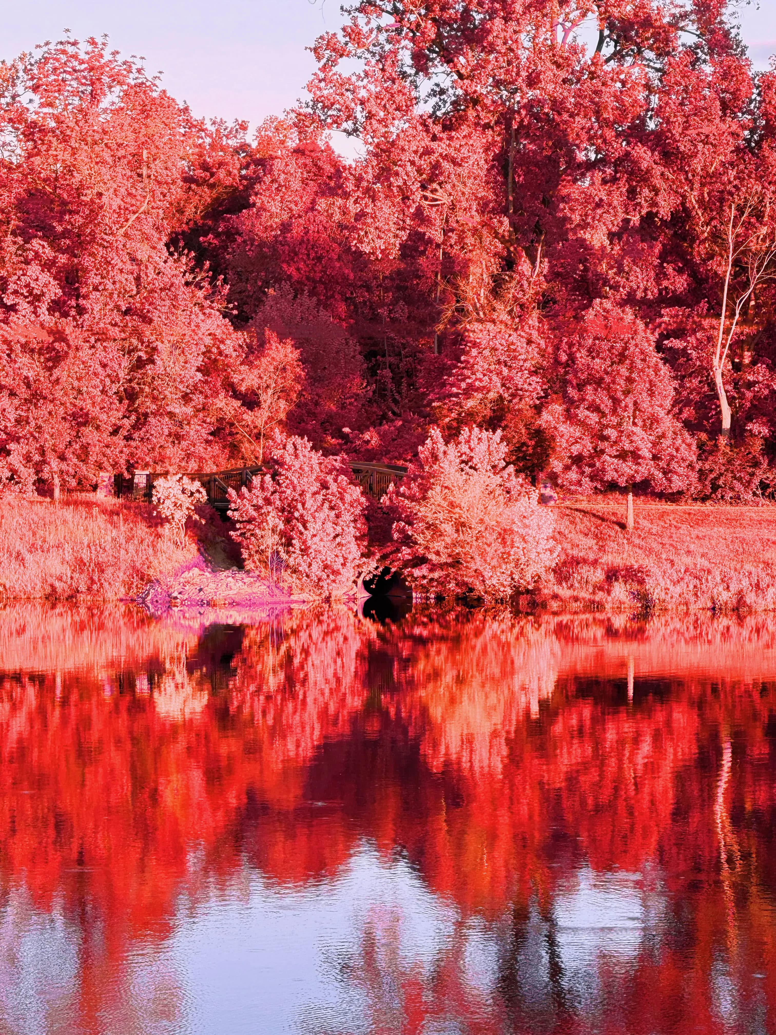 Harmony lake red