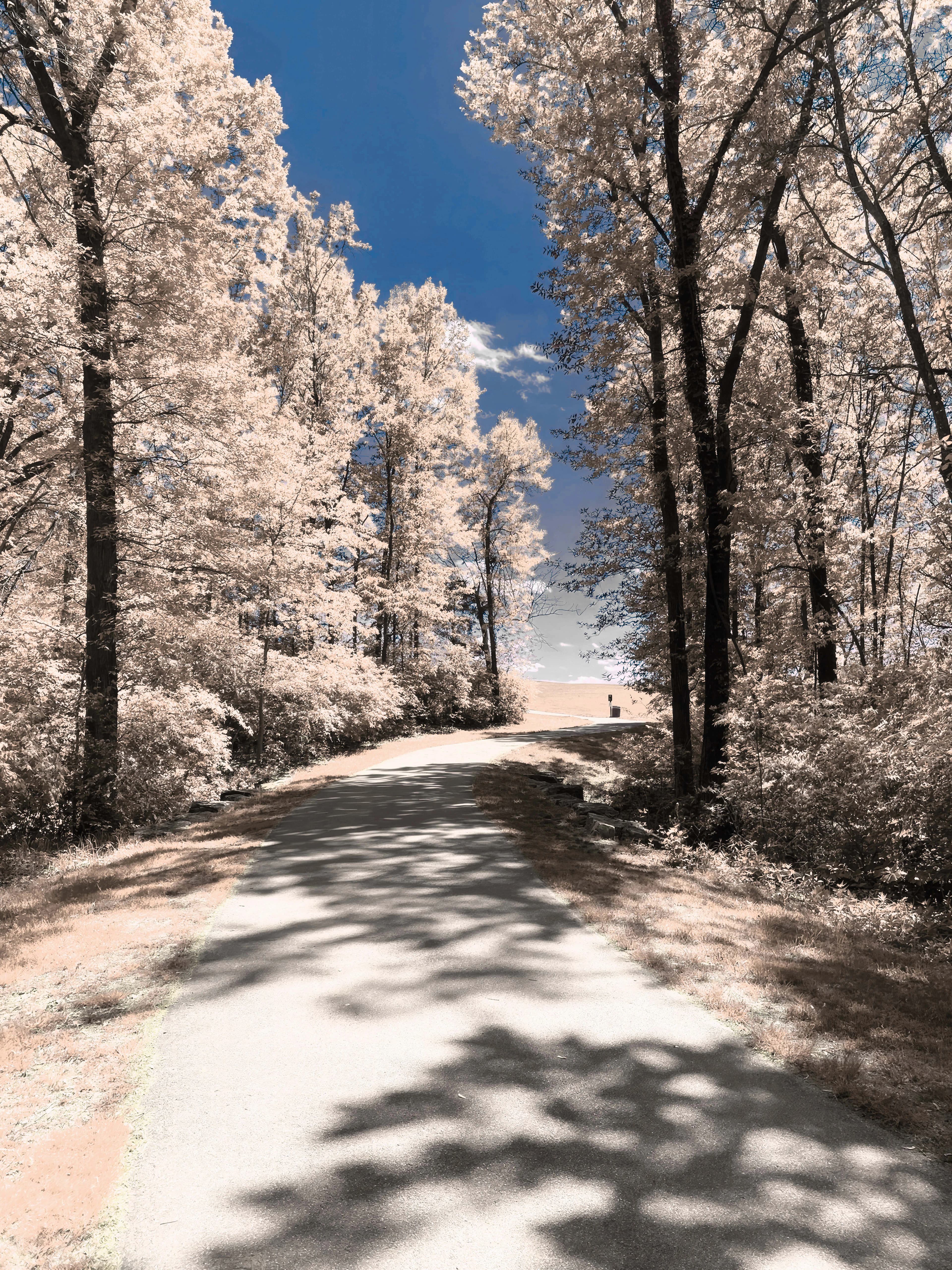 Winding path white